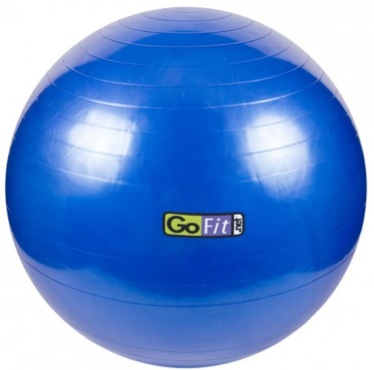 Go Fit Exercise Ball